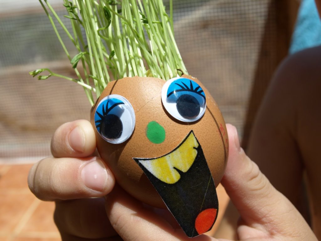 Φτιάχνουμε φατσούλες σε τσόφλια από αυγά