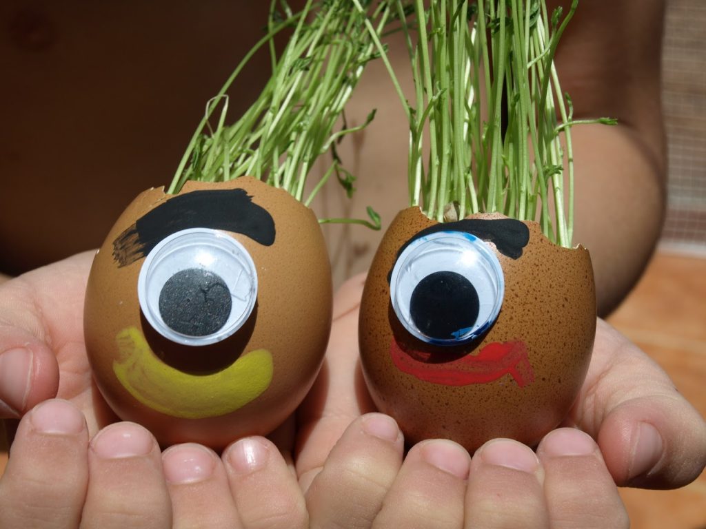 Φτιάχνουμε φατσούλες σε τσόφλια από αυγά