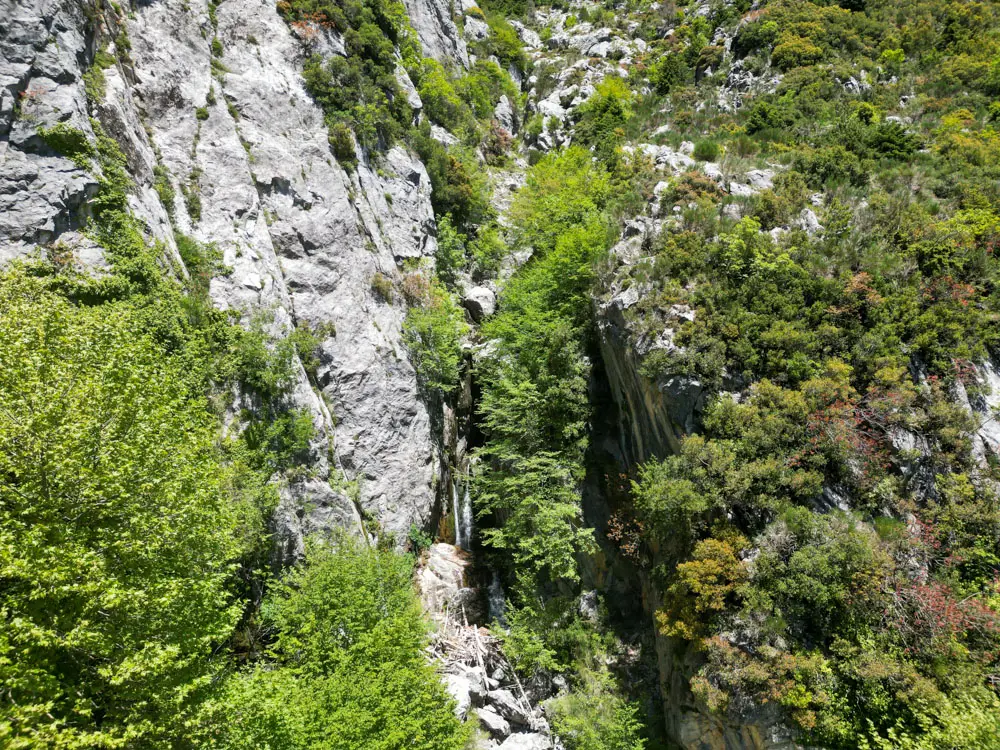 pezoporia-taygetos