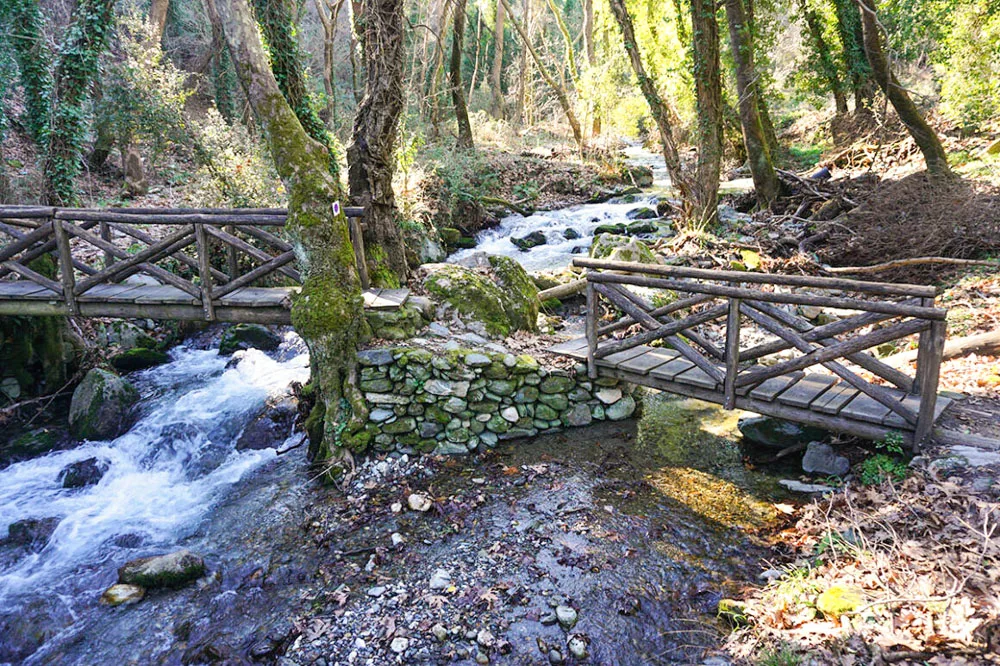 Μονοπάτια Ταϋγέτου 