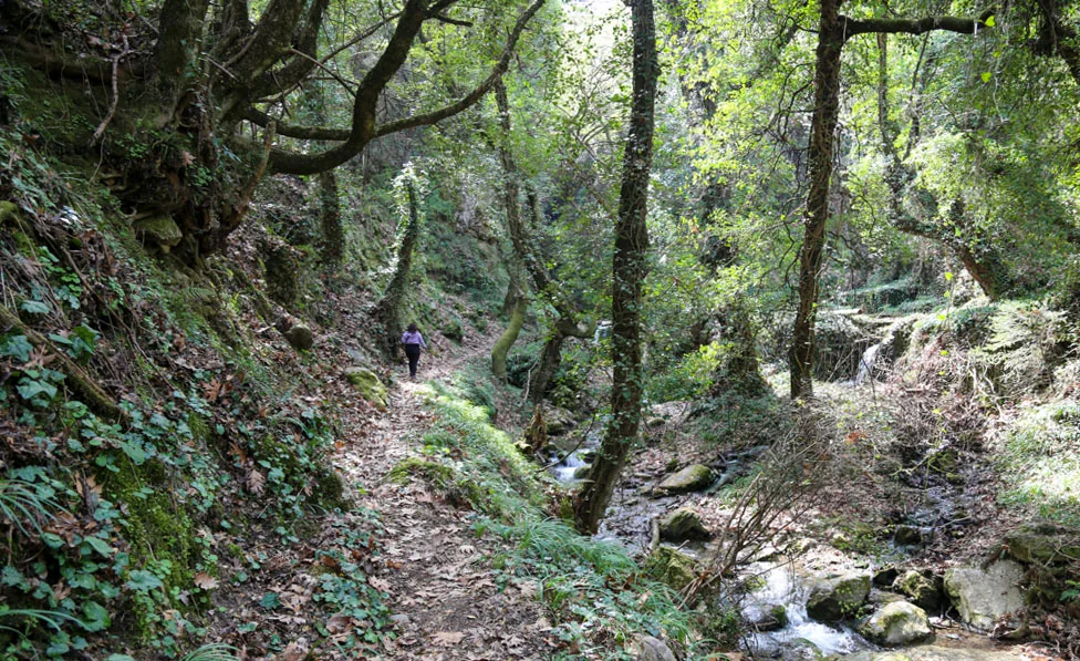 Πεζοπορία ποταμό Κάστορα - Ταΰγετος