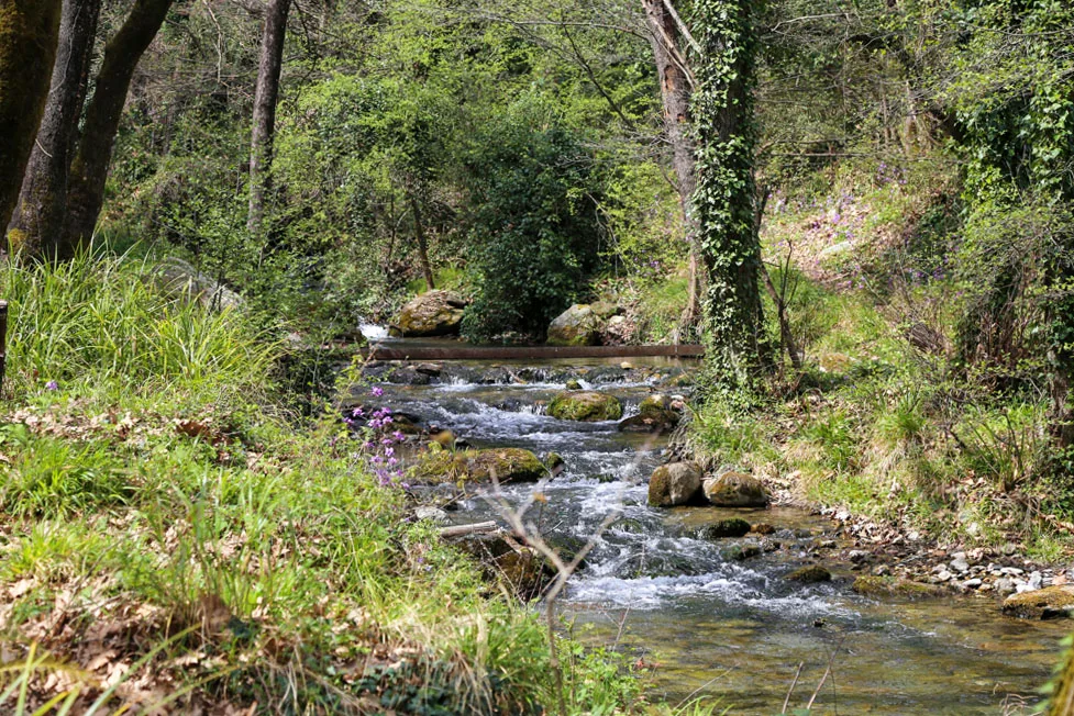 Πεζοπορία ποταμό Κάστορα - Ταΰγετος