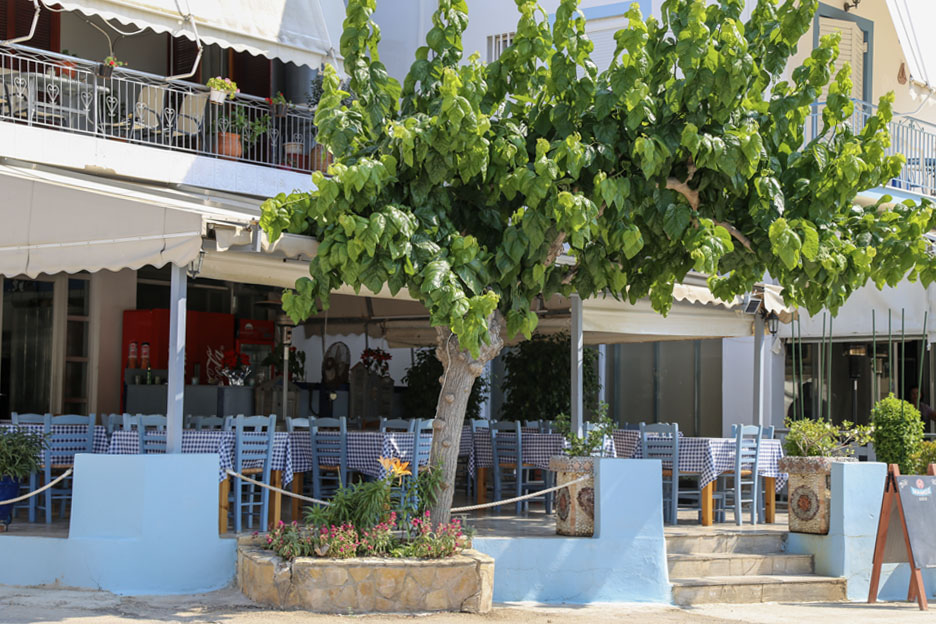 Βιβάρι-Αργολίδας-vivari-argolidas-proorismos