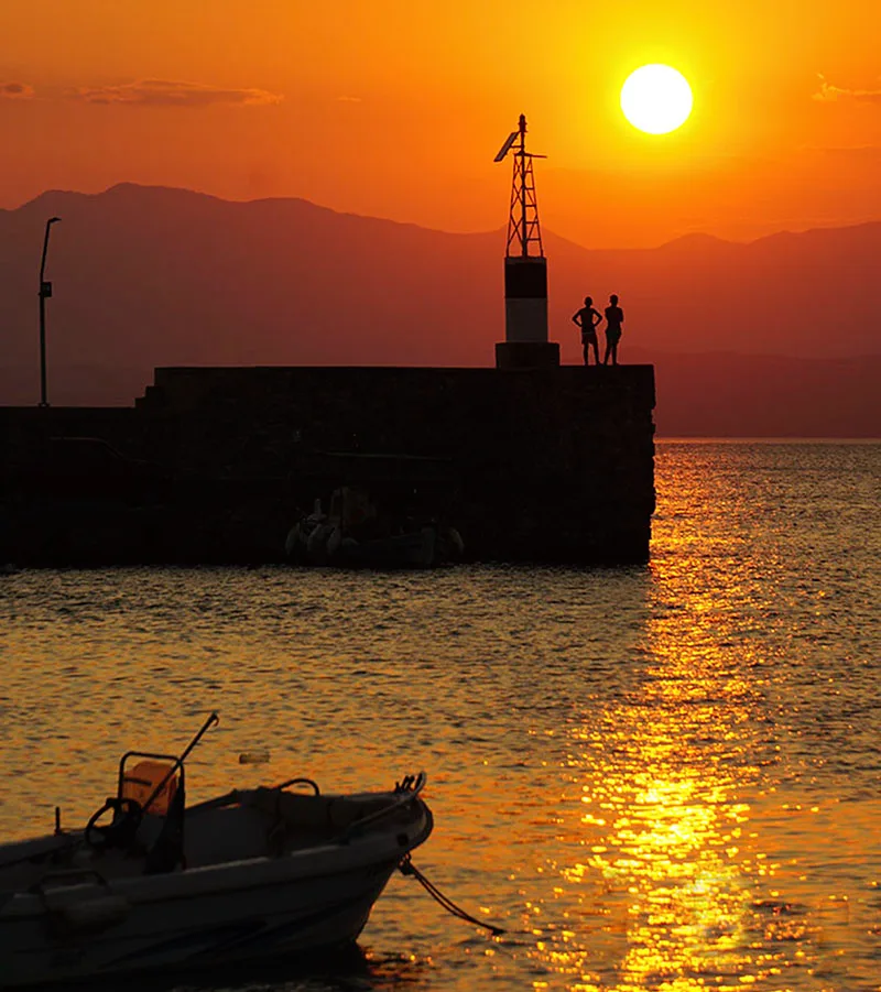 Ελιά Λακωνίας