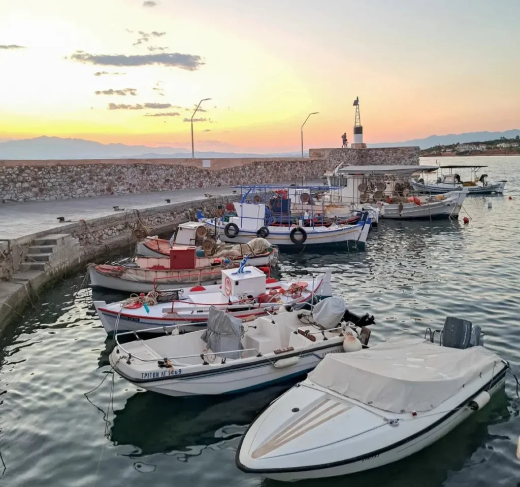 Ελιά Λακωνίας