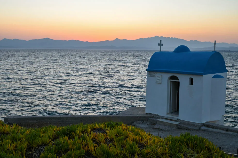 Ελιά Λακωνίας