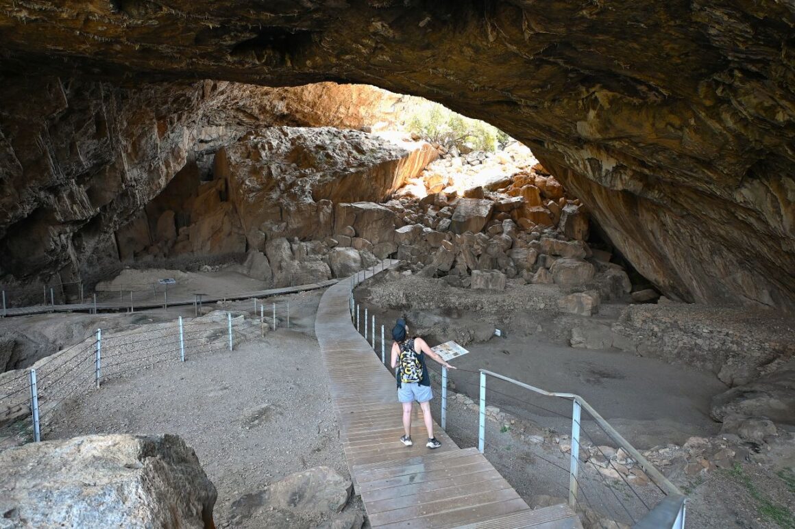 neantertal-homo-sapiens