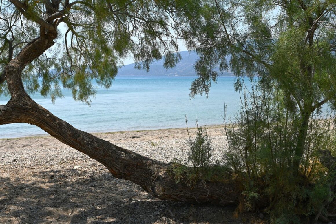 paralia-lampagianna-argolidas