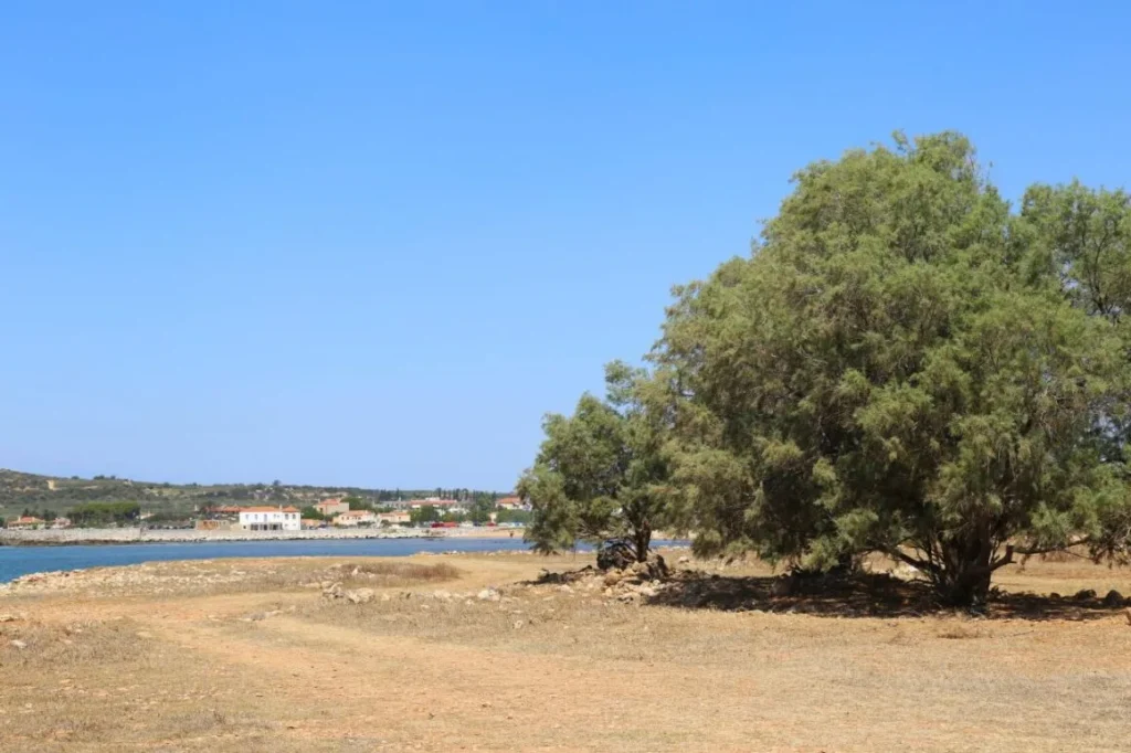 Αρχαίος Ασωπός Λακωνία 