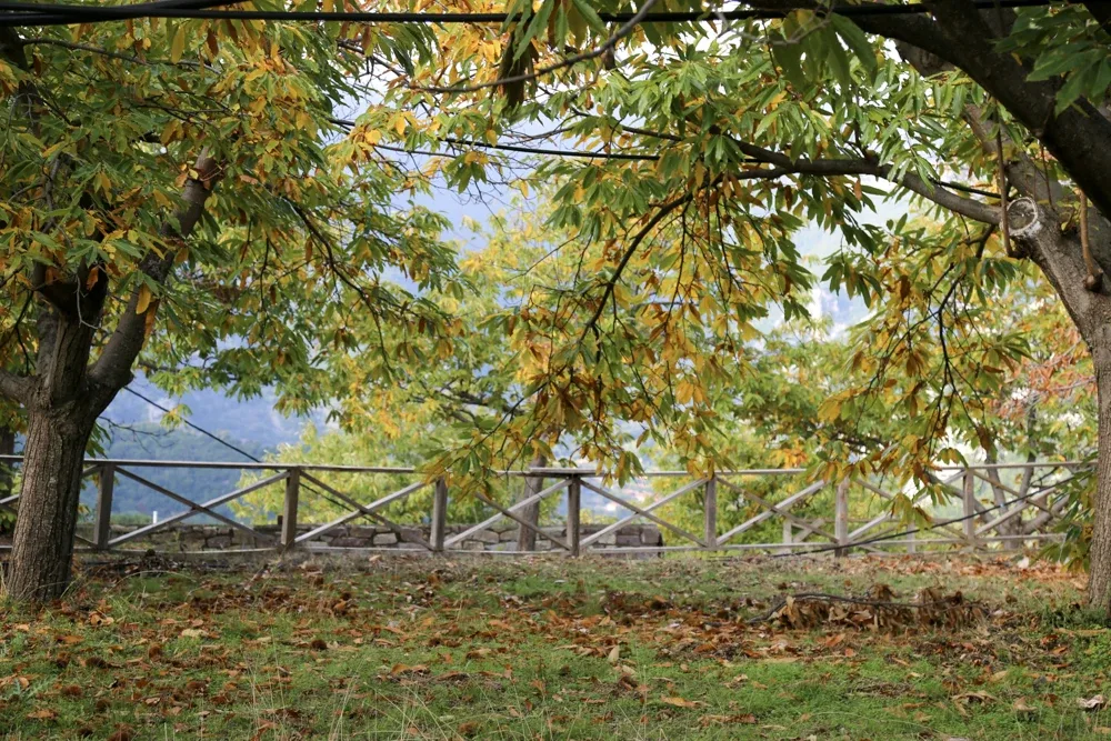 Ξενώνας Φάρις Ταΰγετος