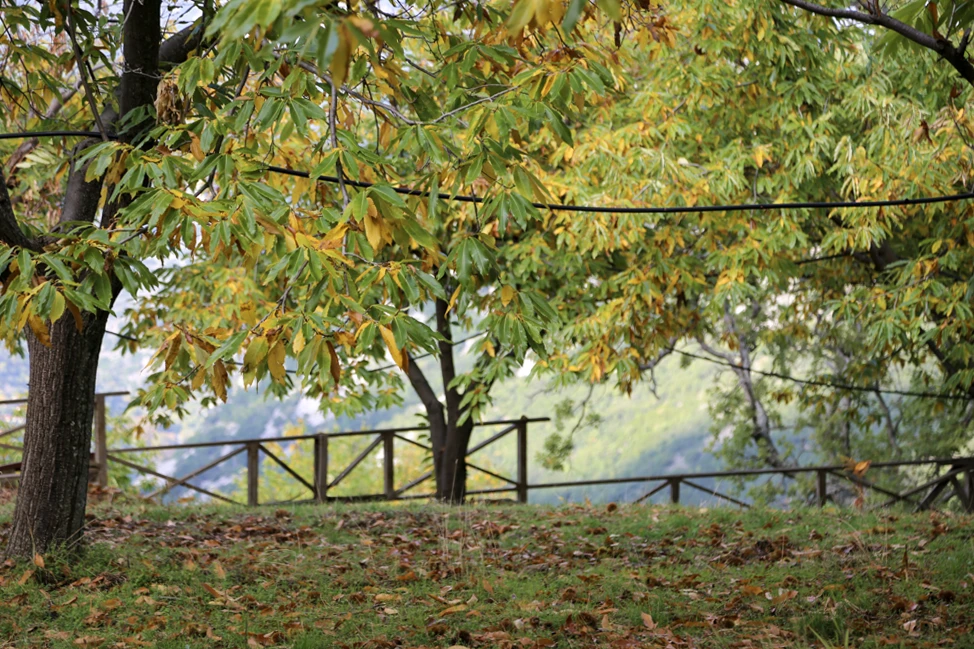 Ξενώνας-Φάρις-στον-Ταΰγετο-xenonas-faris-taygetos