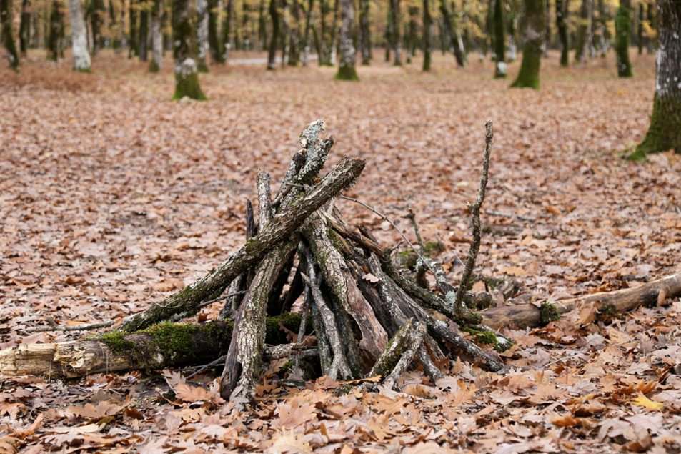 Φύση στην Ηλεία 