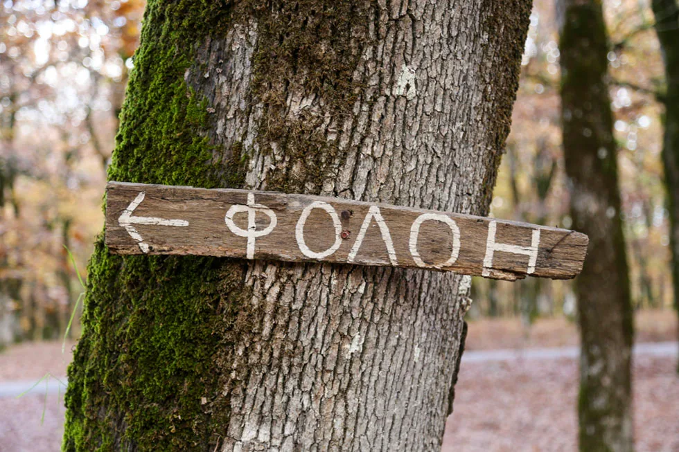 Δάσος Φολόης δρόμος