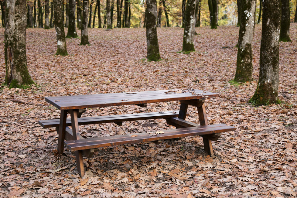 Εκδρομή στην ορεινή Ηλεία