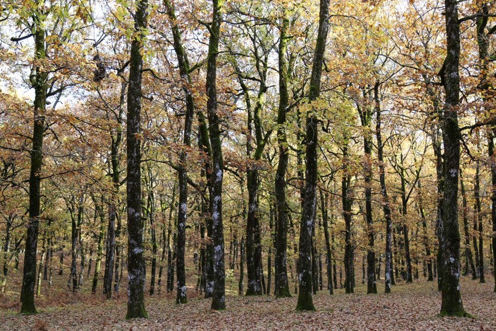 Ορεινή Ηλεία εκδρομή 
