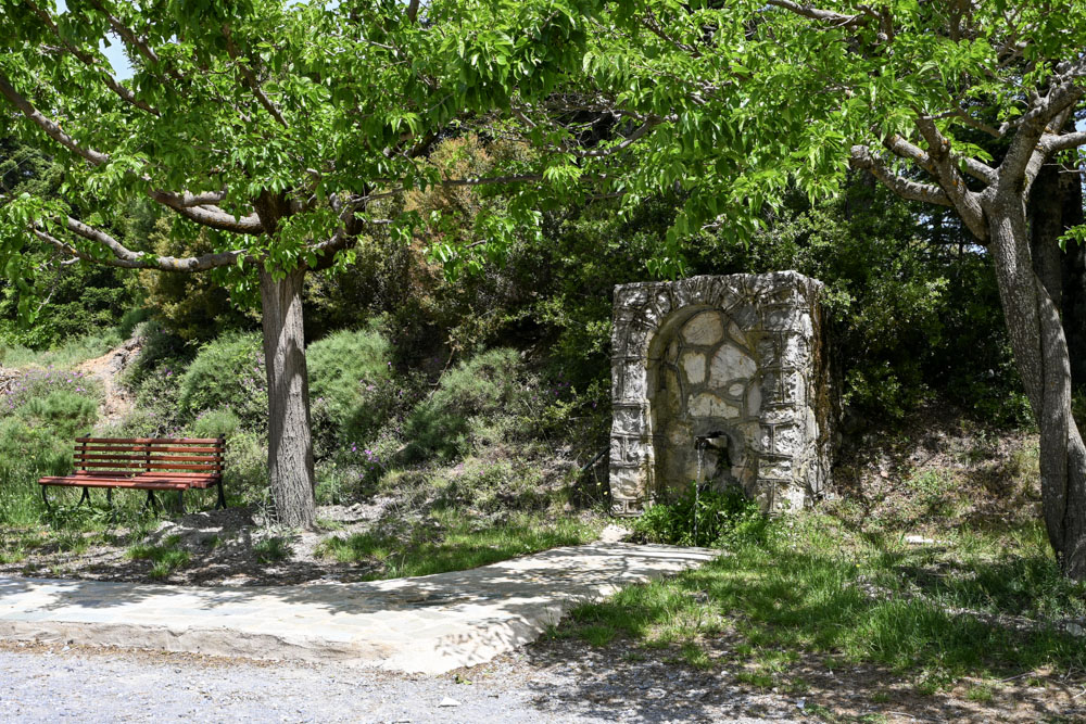 Διαδρομή στον Ταΰγετο  