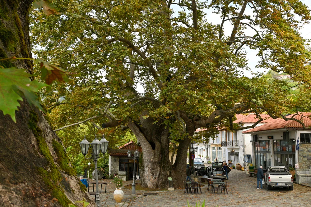 Άρνα Λακωνίας 