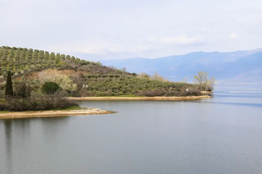 βαρκάδα στη λίμνη Κερκίνη