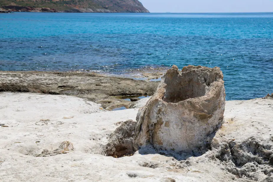 Απολιθωμένο δάσος Νεάπολη Λακωνίας