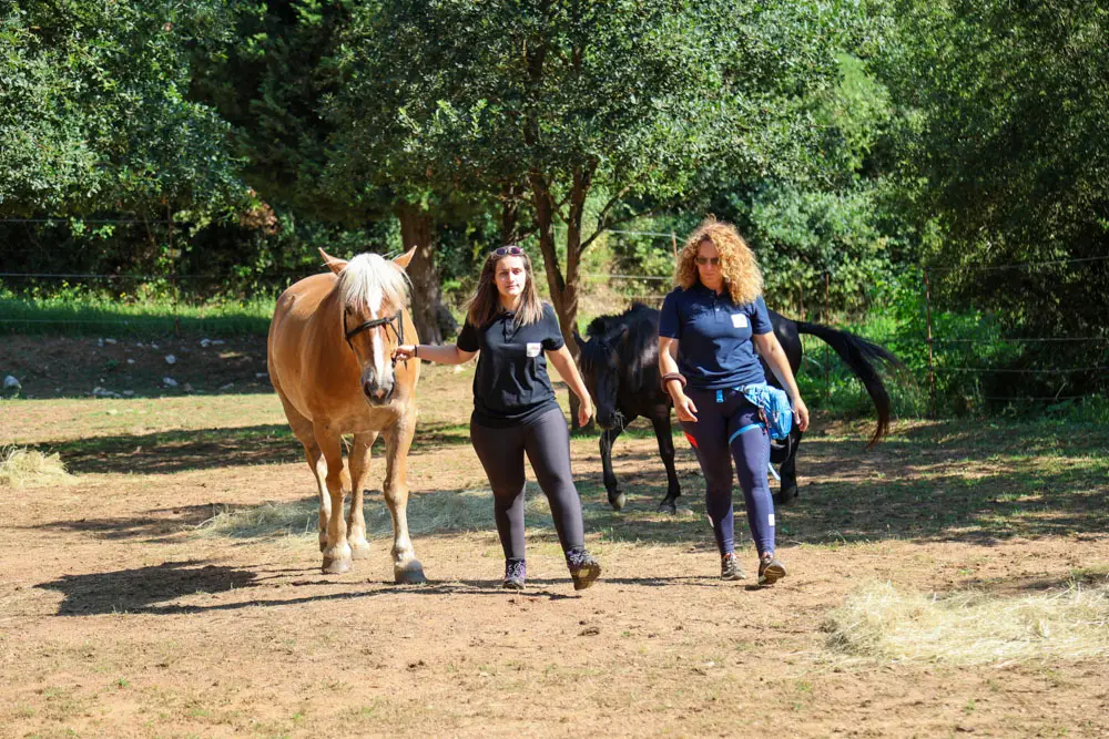 Ιππασία Καρύταινα Αρκαδίας