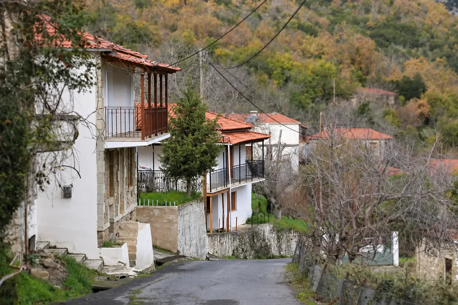 Καστριτοχώρια Αρκαδίας